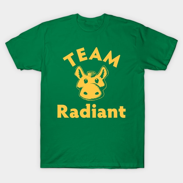 Dota 2 - Team Radiant All-Star Match T-Shirt by Reds94